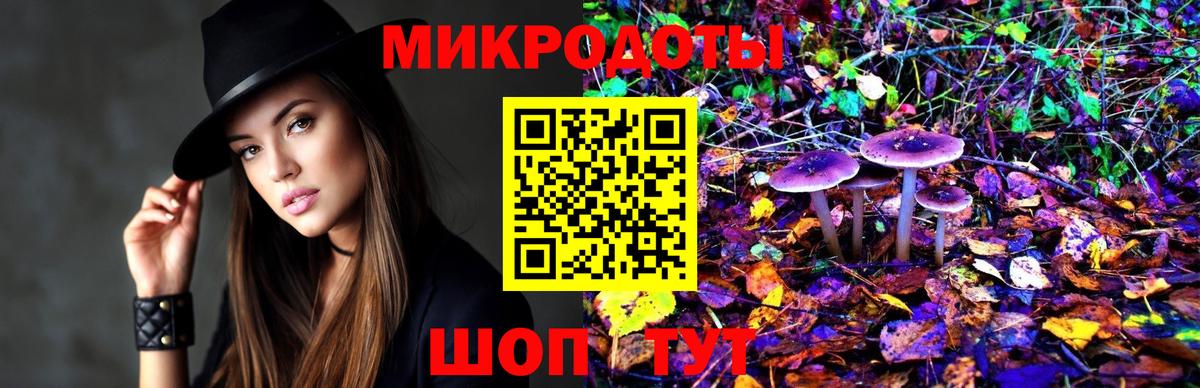 Псилоцибиновые грибы Psilocybine cubensis  где купить наркоту  Галлюциногенные грибы мицелий  Славянск-на-Кубани  Вход с VPN 